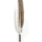 Ceremonial Feather Cotton Joy