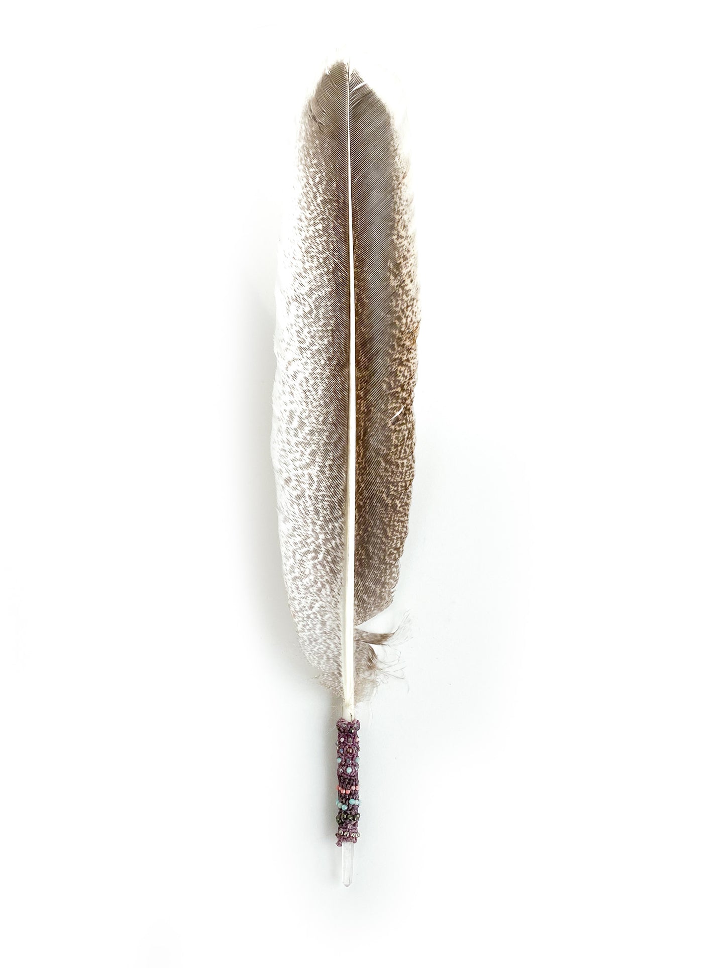 Ceremonial Feather Cotton Joy